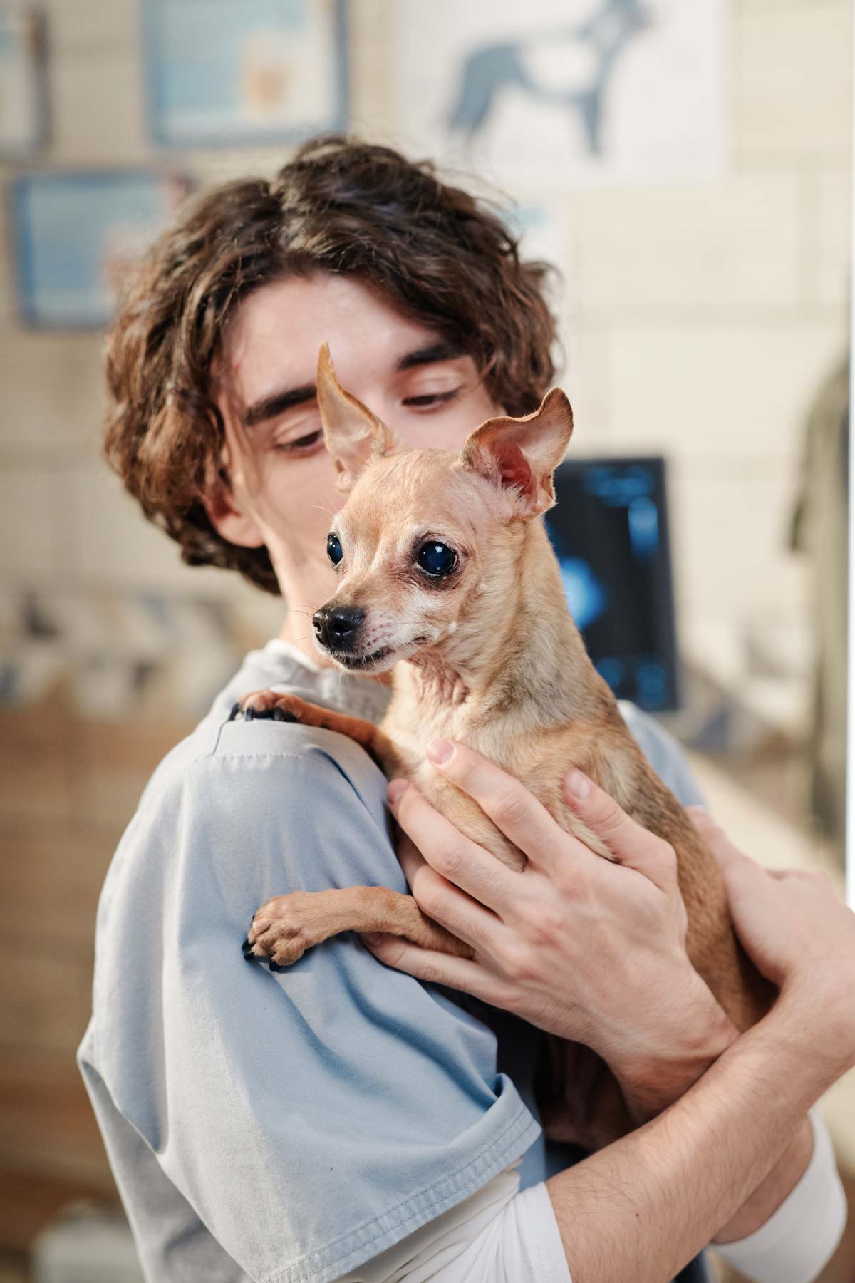 house of happiness foundation