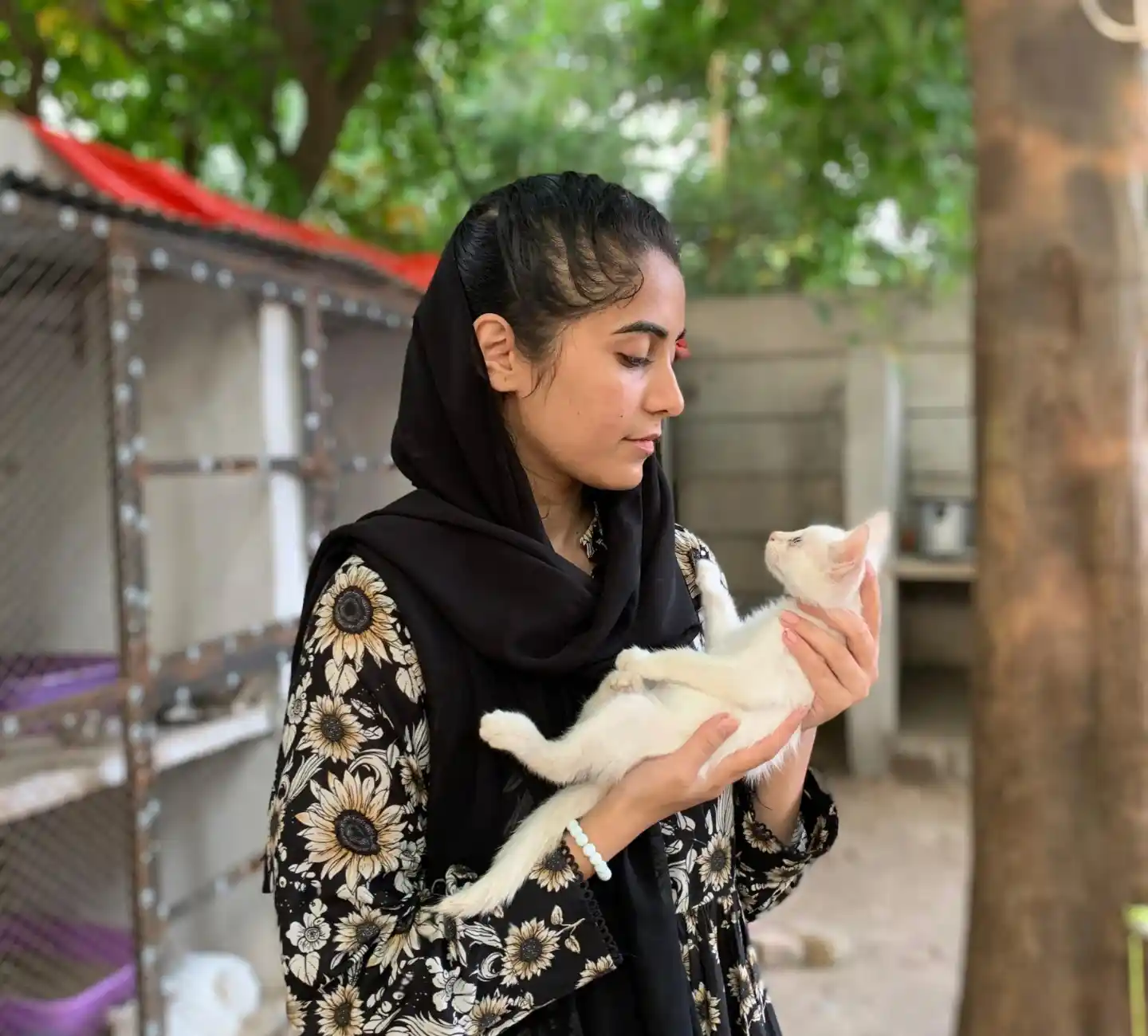 pet sheltar isalmabad 